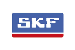Ganador Premios Calidad y Servicio de la Posventa de Automoción 2018 | SKF Rodamientos